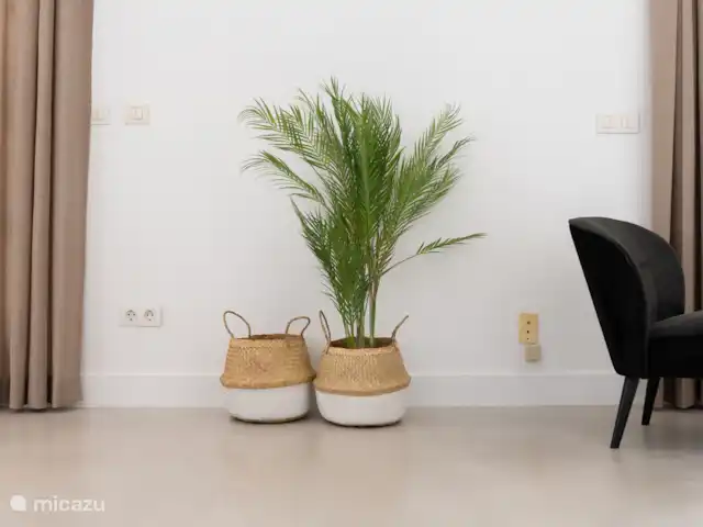 Détail du salon